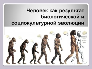 Человек как результат биологической и социокультурной эволюции.